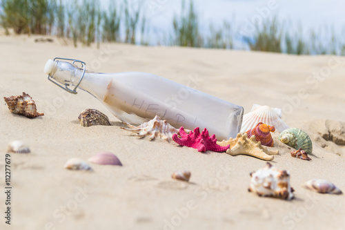 Colorful sea shells bottle background