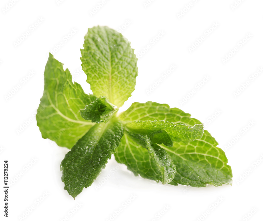 Fresh green mint leaves, isolated on white Fresh green mint leaves, isolated on white