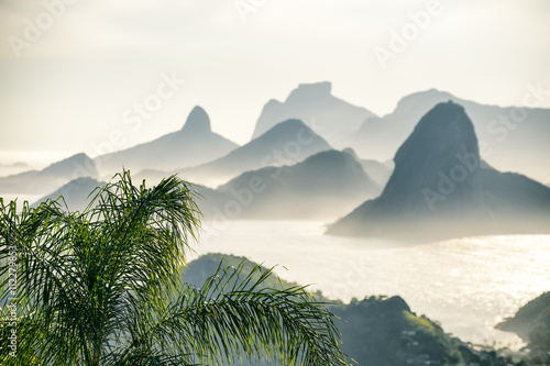 City skyline scenic overlook of Rio de Janeiro, Brazil with Niteroi, Guanabara Bay, and Sugarloaf Mountain through palm fronds