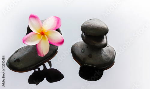 Beautiful pink white flower plumeria or frangipani on water and pebble rock for meditation mood background