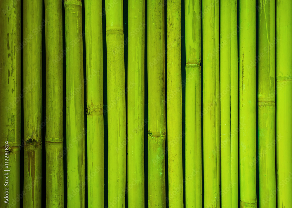 Naklejka Zielona bambusowa płotowa tekstura, bambusowy tło, tekstury tło, bambusowa tekstura