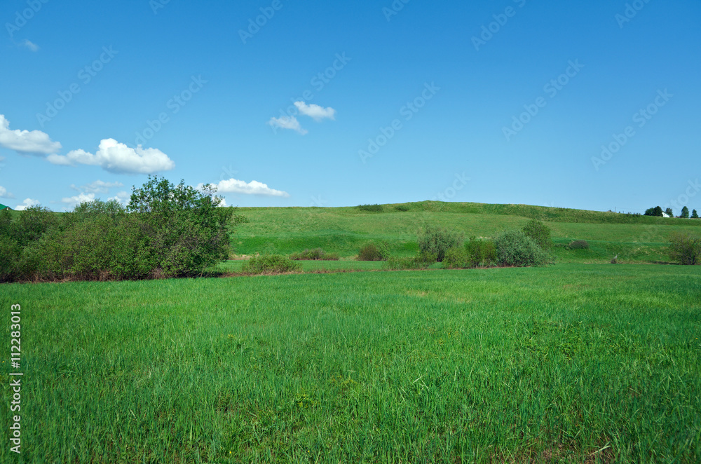 Fototapeta premium Russian spring meadow