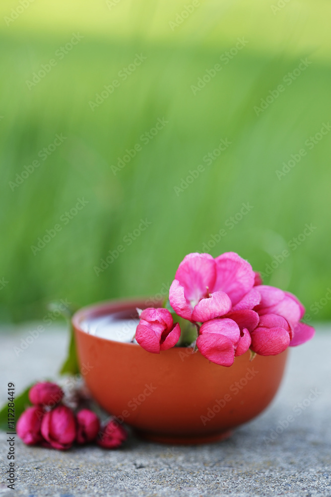 Hibiscus tea with blossom apple tree branch Hibiscus tea with blossom apple tree branch