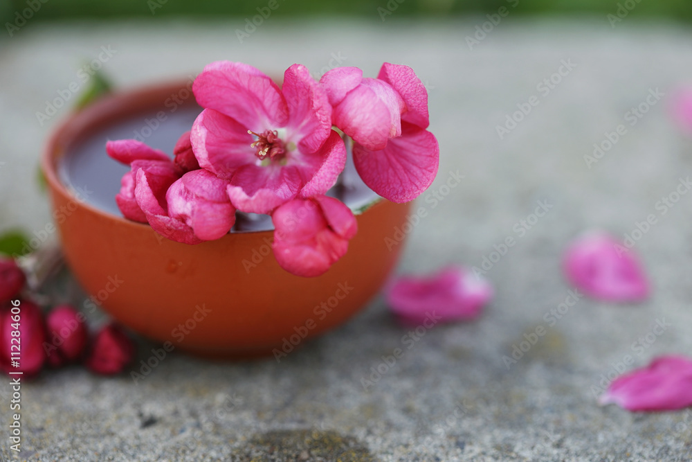 Hibiscus tea in ceramic cup isolate on stone surface Hibiscus tea in ceramic cup isolate on stone surface