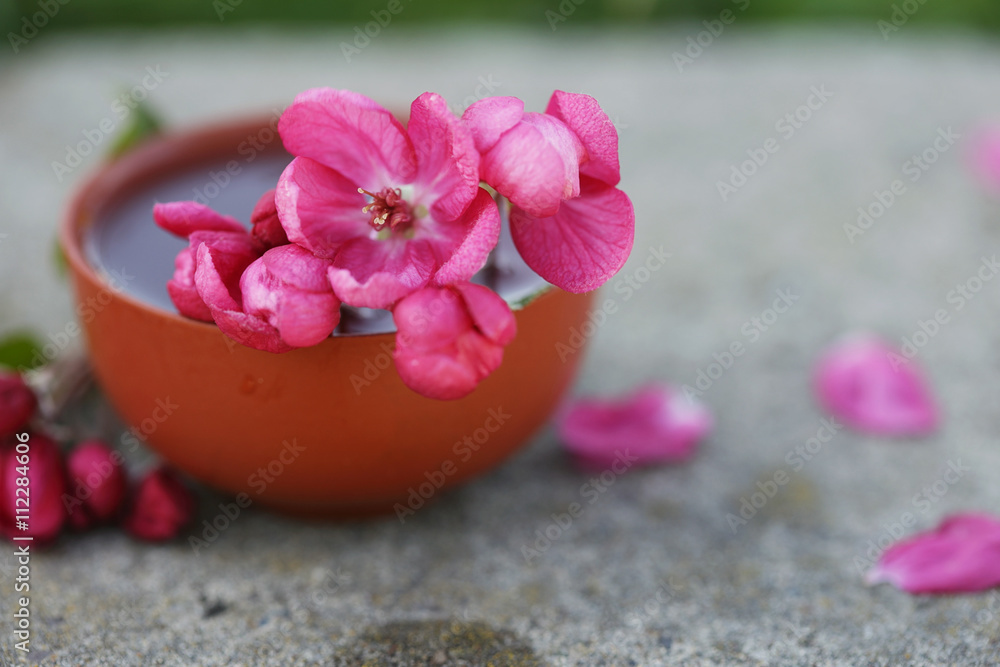 Hibiscus tea in ceramic cup isolate on stone surface