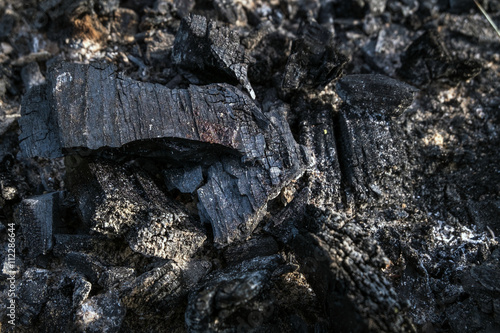 coals from the tree which has burned down in a fire