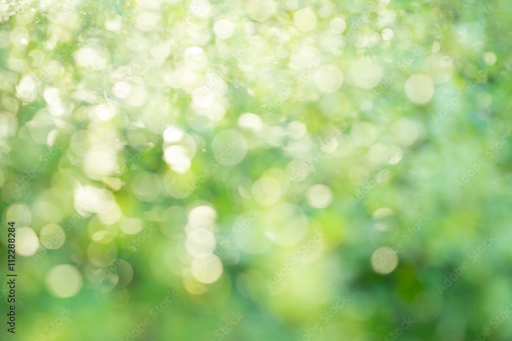 Abstract circular green bokeh background. Abstract circular green bokeh background.