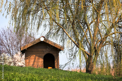 Photography doghouse