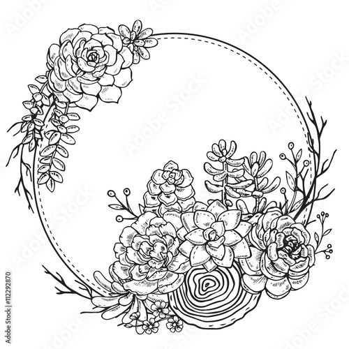 Hand drawn composition of succulent plants.