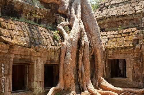Ta Prohm temple covered in tree roots, Angkor Wat, Cambodia. Horizontal shot, close up