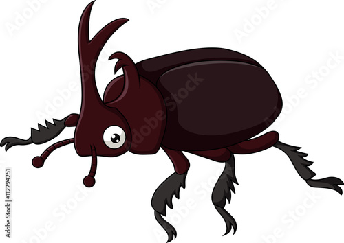 Beetle with sharp horn
