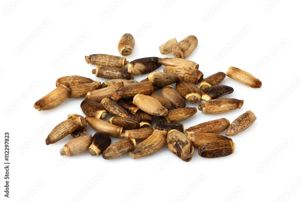 Seeds of a Milk Thistle isolated. Seeds of a Milk Thistle isolated.