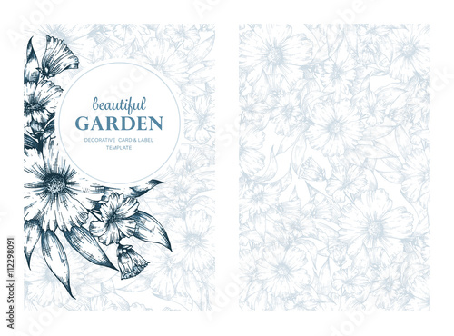 Greeting card vector