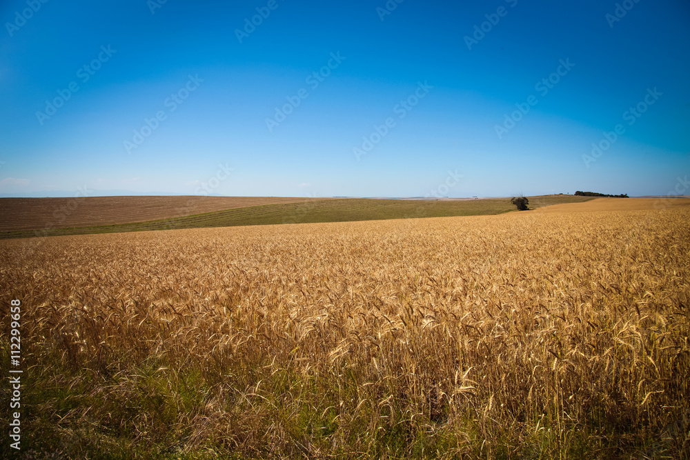 South Africa and landscapes