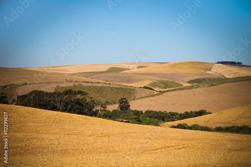 South Africa and landscapes © akoppo1