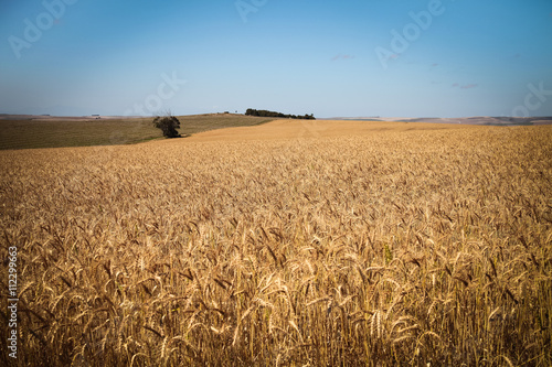 South Africa and landscapes
