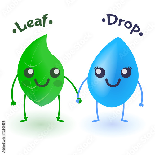 Drop and leaf