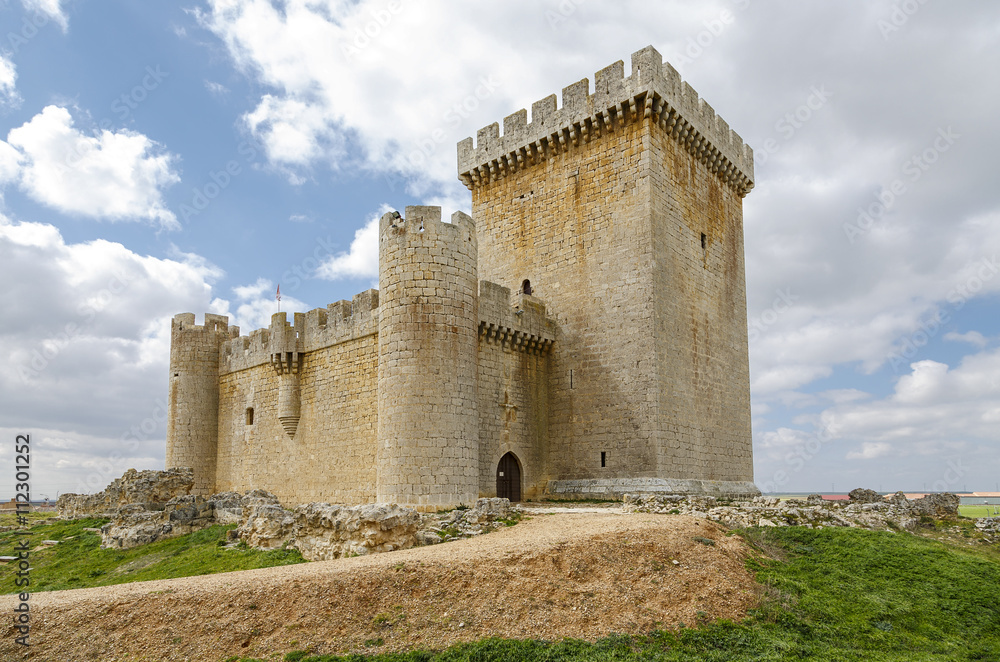 Castle of Villalonso Zamora Spain