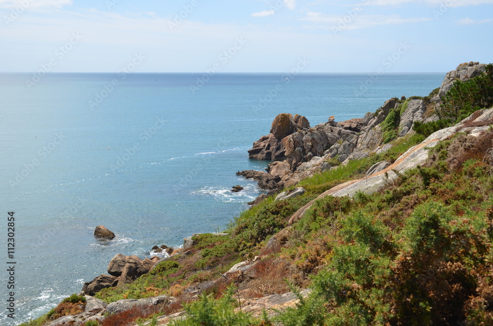 lande bretonne en bord de mer