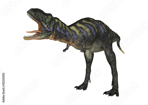 3D Rendering Dinosaur Aucasaurus on White