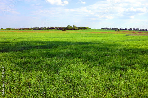 large green farmland area - calm rural landscape