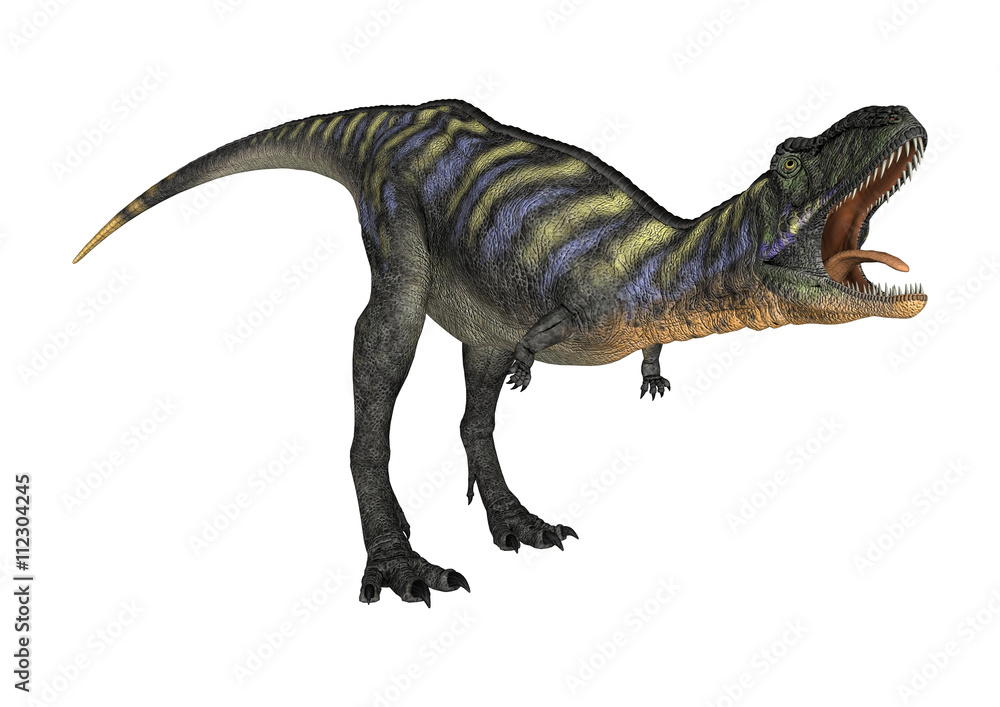 3D Rendering Dinosaur Aucasaurus on White 3D Rendering Dinosaur Aucasaurus on White