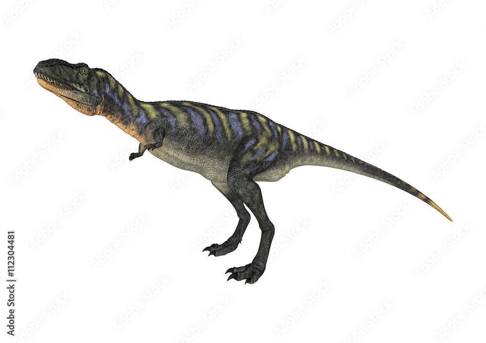 Naklejka premium 3D Rendering Dinosaur Aucasaurus on White