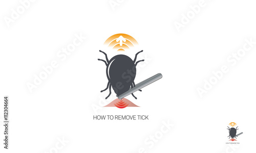 How to remove tick - dangerous insect