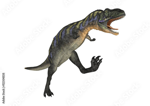 3D Rendering Dinosaur Aucasaurus on White © photosvac