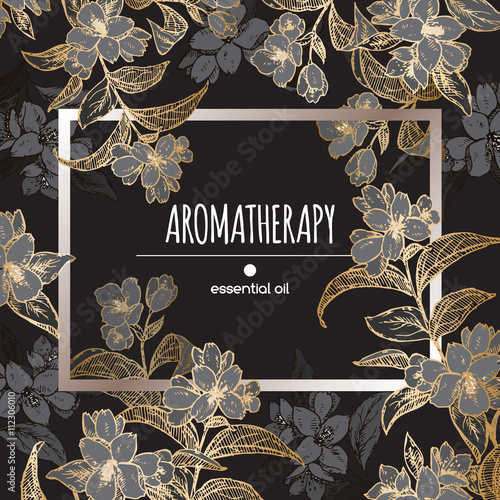 Black and golden frame template with common jasmine sketch.