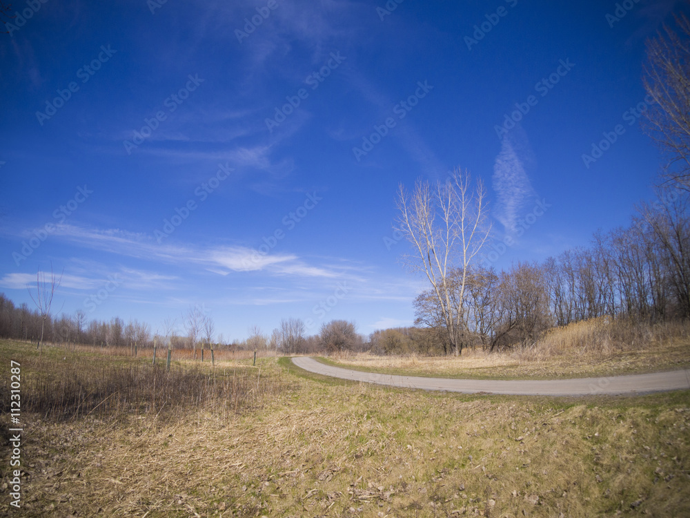 Obraz premium Spring landscape