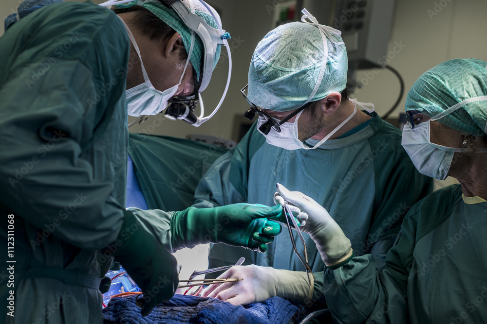 Heart surgeons and operating room nurse during a heart valve operation Heart surgeons and operating room nurse during a heart valve operation