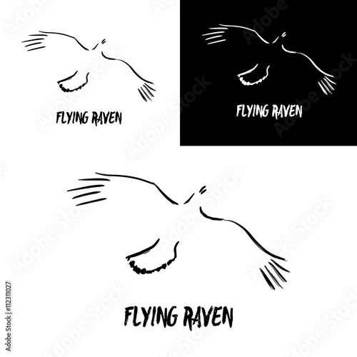 Grunge flying raven logo template. Vector illustration isolated on white. Artistic gesture painting. Black and white crow