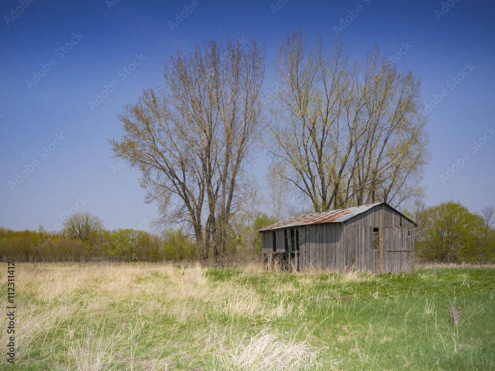 Spring landscape Spring landscape