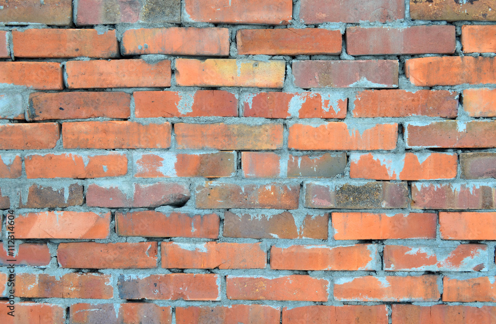 Obraz premium Grunge Brick Wall