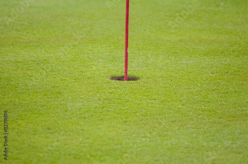 Golf green closeup