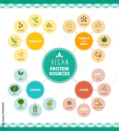 Vegan protein sources