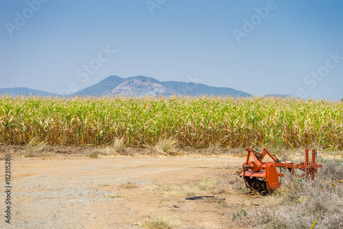 Corn farm with part of orange Tractor