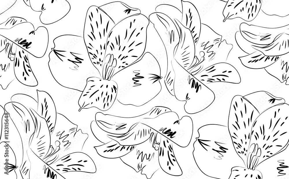 Fototapeta premium Seamless pattern alstroemeria flowers