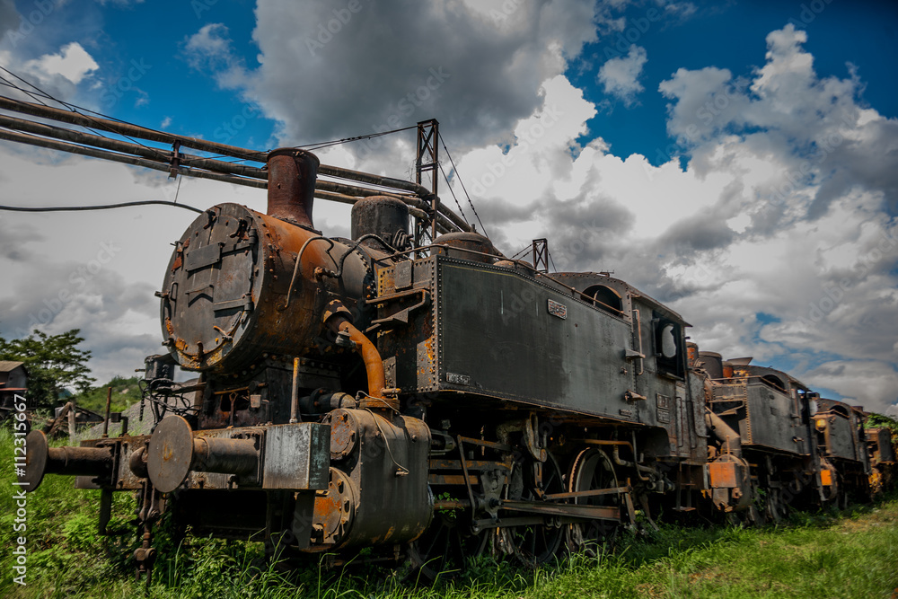 Obraz premium trains