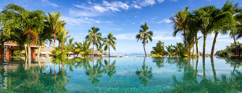 Pool Panorama mit Palmen