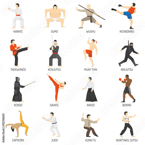 Martial Arts Decorative Flat Icons Set