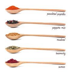 Fototapete Gewürze Collection of spices in wooden spoons, isolated on white  © Africa Studio