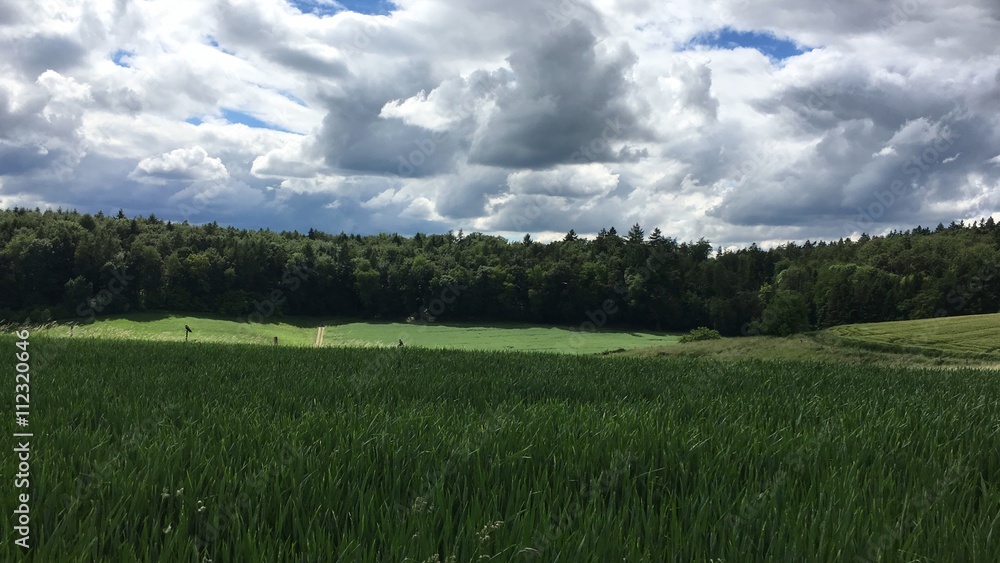 Obraz premium Schöne Aussicht