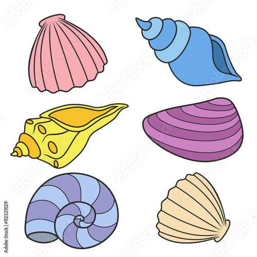 shell set