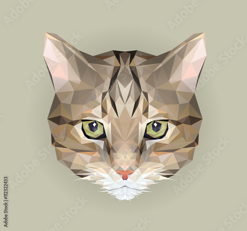 low poly design. Triangle vector logo of animal for use as a print on t-shirt and poster. Street cat polygon Small mustache kitty. Domestic cat. Stock-vektor | Adobe