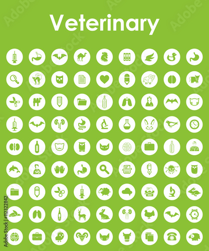 Set of veterinary simple icons