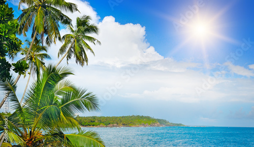 Coconut palms on the ocean shore © alinamd
