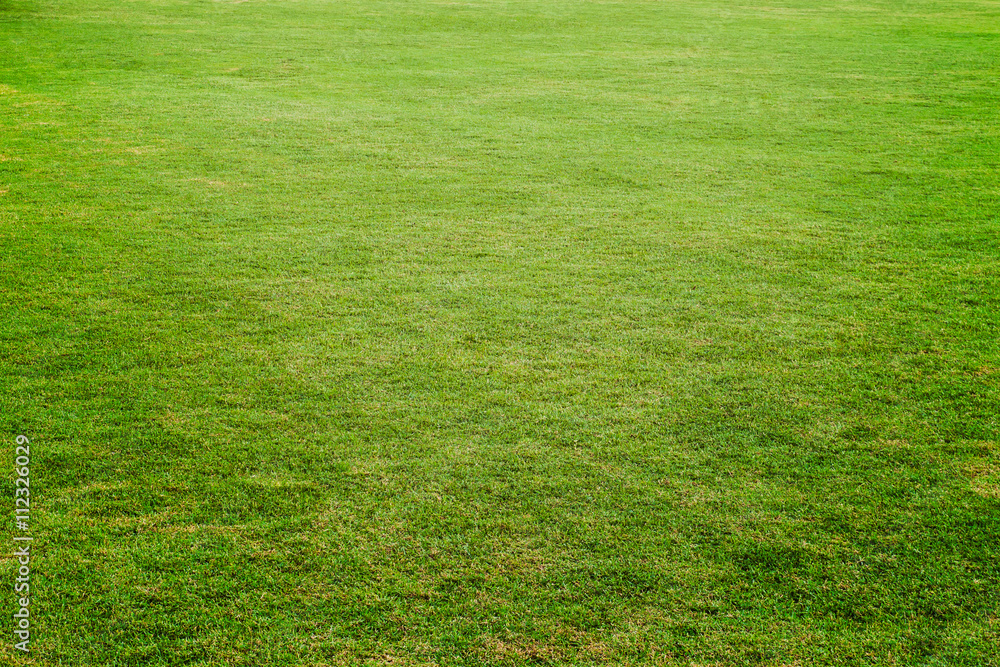 Green meadow, grass field for football,grass texture for backgro Green meadow, grass field for football,grass texture for backgro
