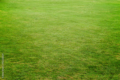Green meadow, grass field for football,grass texture for backgro